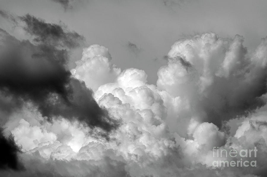 Cumulus Congestus  #2 Photograph by Jim Corwin