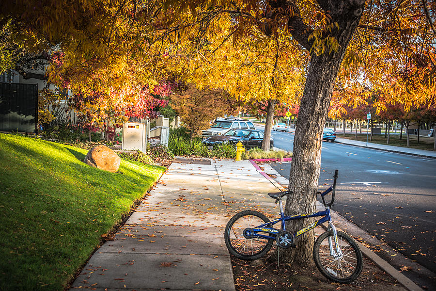 Cupertino Fall Photograph by Jayasimha Nuggehalli Fine Art America