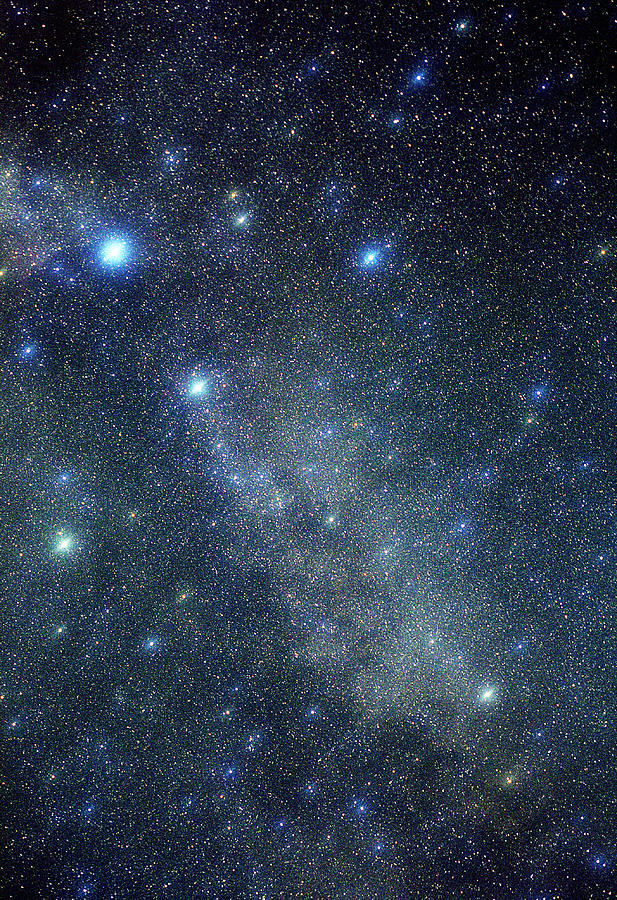 Space Photograph - Cygnus Constellation #2 by John Sanford