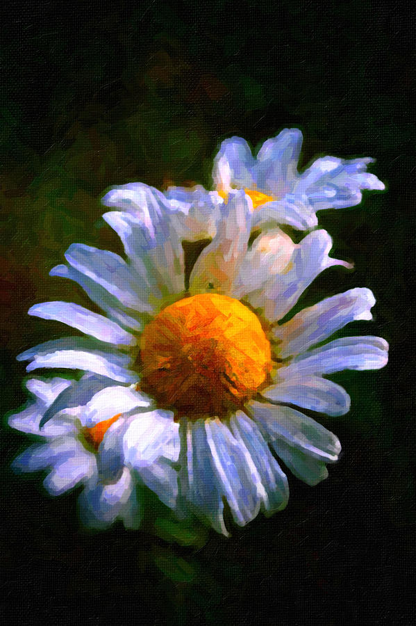 Daisy #2 Painting by Prince Andre Faubert