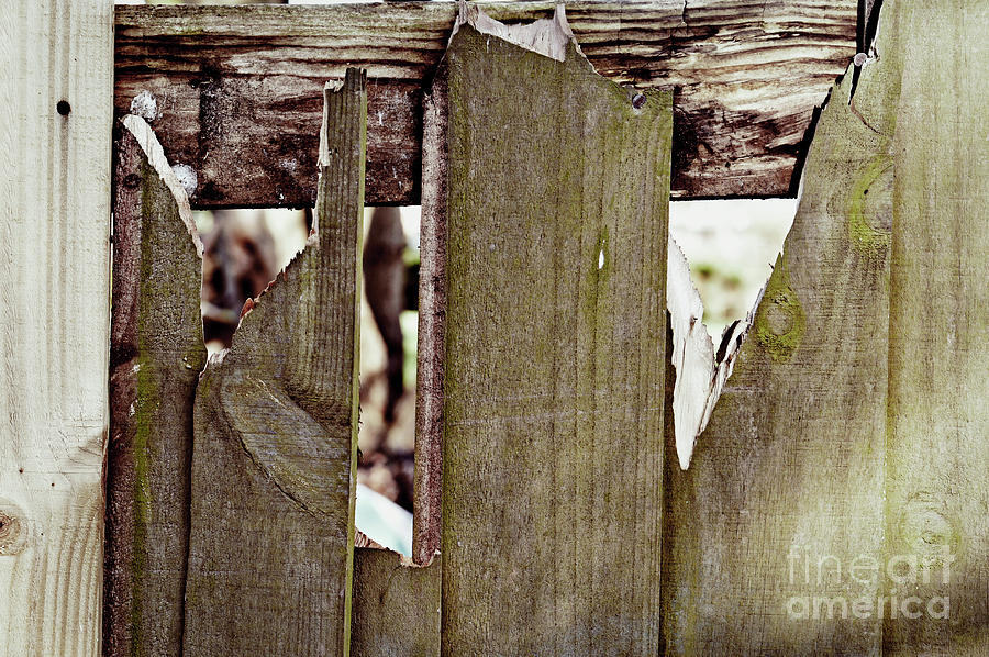 Damaged fence #2 Photograph by Tom Gowanlock