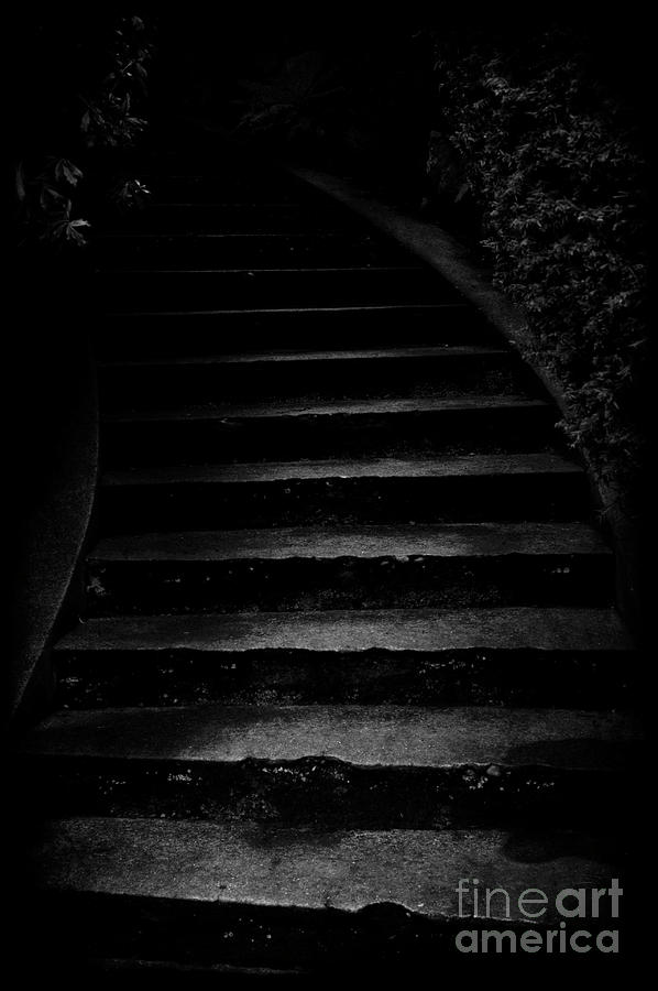 Dark Steps Leading Upward #2 Photograph by Jim Corwin