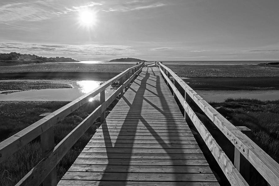 Good Harbor Beach Footbridge Sunny Shadow Black and White Photograph by Toby McGuire