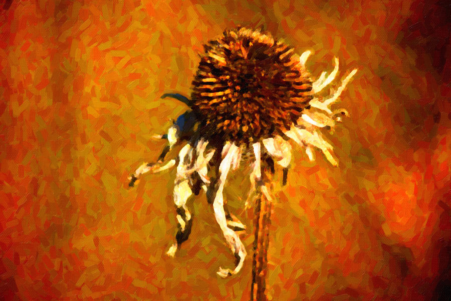 Dead Flower #2 Painting by Prince Andre Faubert