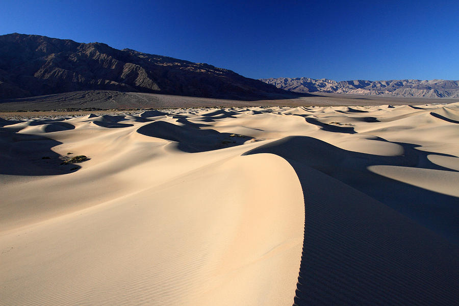 Death valley sand dunes #2 Photograph by Pierre Leclerc Photography