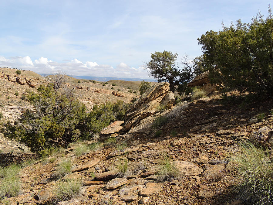 Desert Impressions Utah #3 Photograph by Andrew Chambers