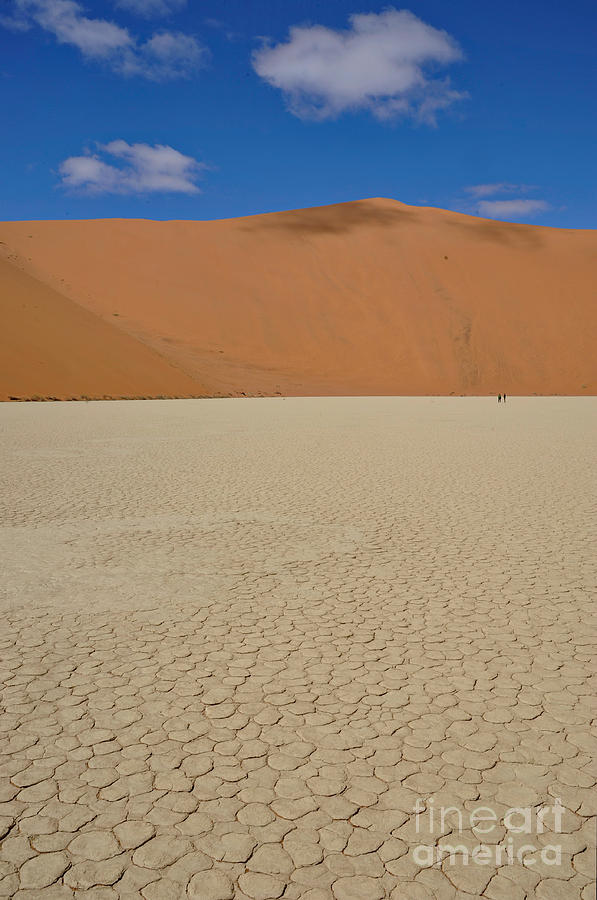 Desert In Dead Vlei #2 Photograph by Francesco Tomasinelli
