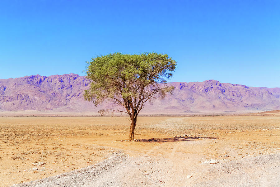Desert landscape near Sesriem in Namibia. #2 Photograph by Marek Poplawski