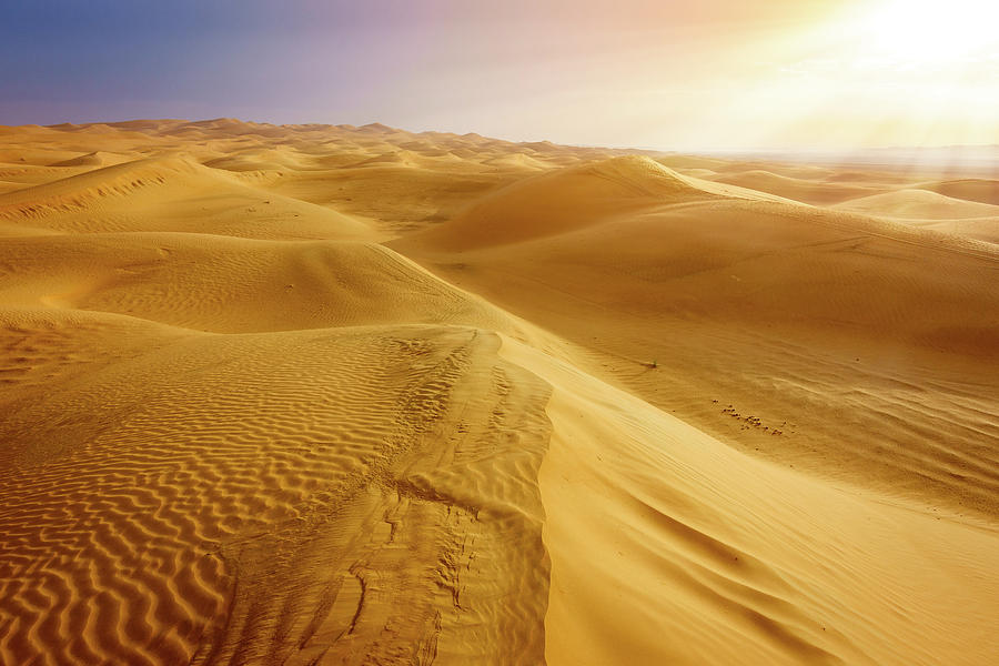 Desert Near Al Ain Uae At Dawn Photograph By Alexey Stiop