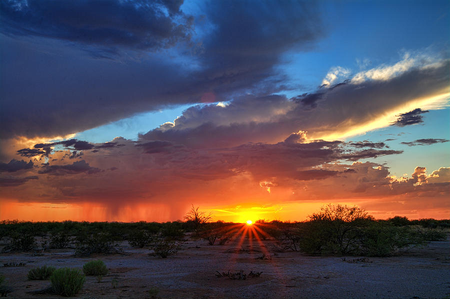 Sunset Photograph - Desert Sunshine  #3 by Saija Lehtonen