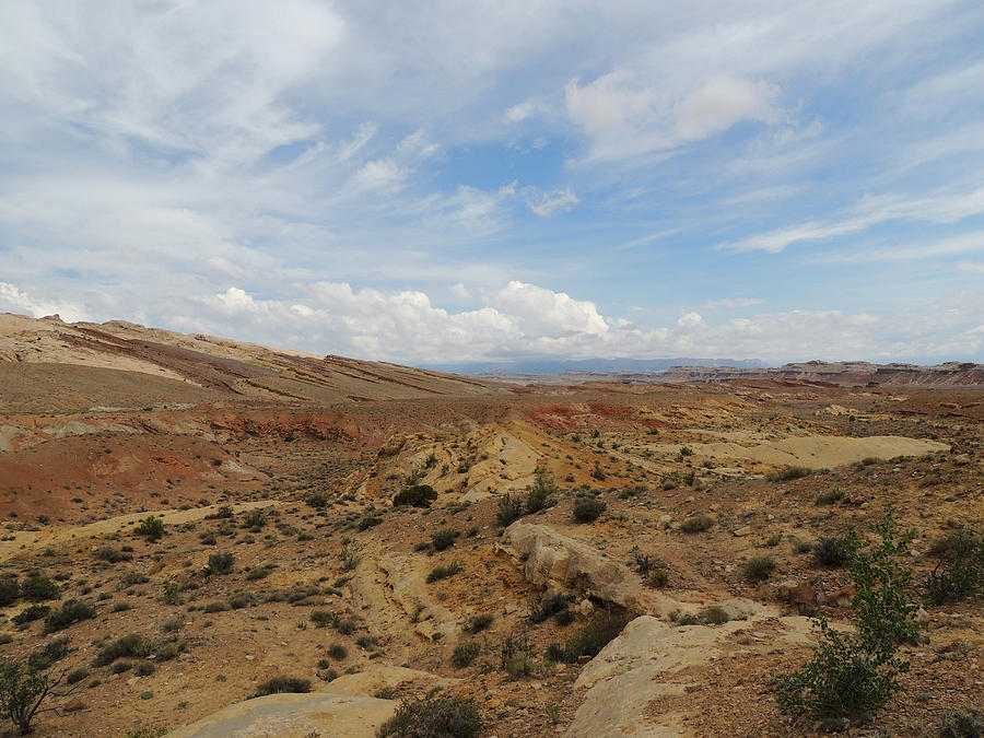 Desert Vista Utah #3 Photograph by Andrew Chambers