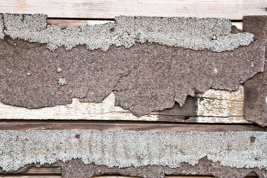 Deteriorating Asbestos Shingles #2 Photograph by Inga Spence