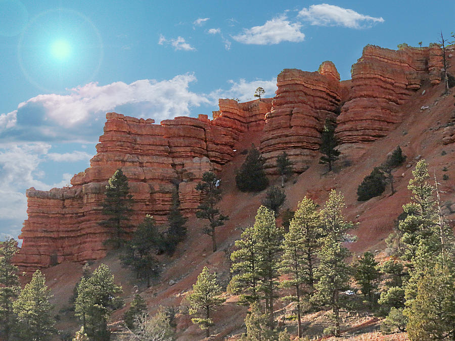 Dixie National Forest - Utah Photograph by Patti Deters - Fine Art America