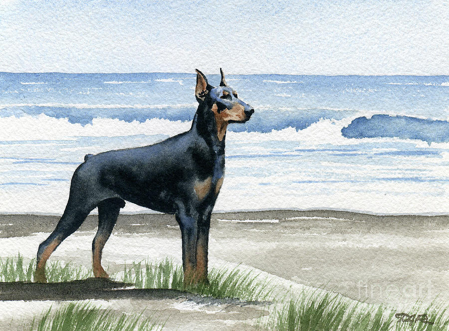 Beach Painting - Doberman Pinscher at the Beach  #1 by David Rogers