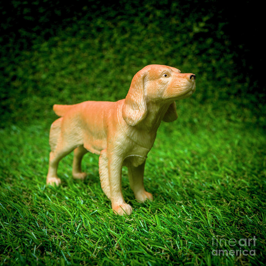 Figurine Photograph - Dog Figurine by Bernard Jaubert Figurine Photograph - Dog Figurine by Bernard Jaubert