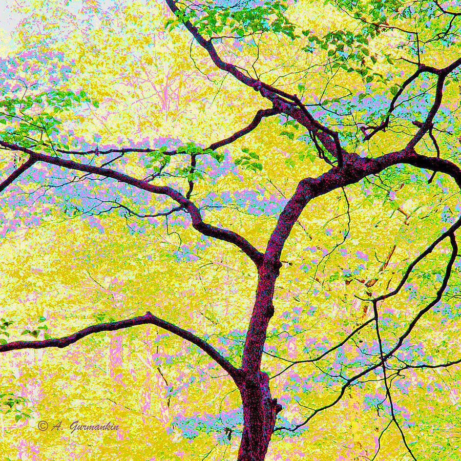 Dogwood Tree in Spring #2 Digital Art by A Macarthur Gurmankin