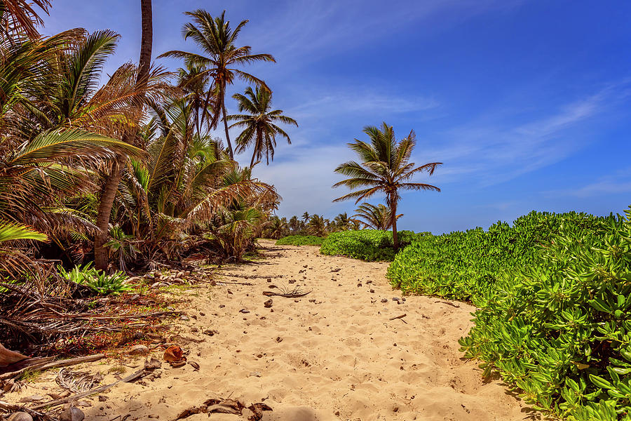 Dominicana Beach #2 Photograph by Peter Lakomy