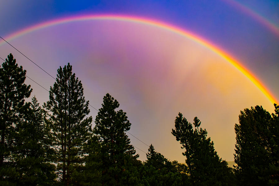 Nature Photograph - Double Rainbow #2 by Omnius One