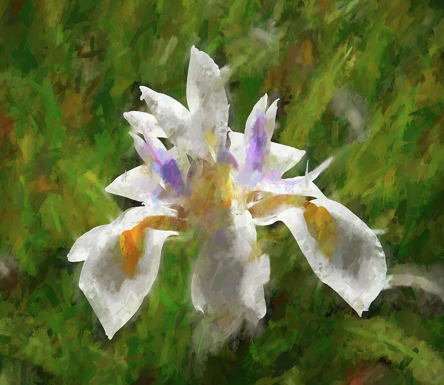 2 Double White Iris Abstract with Impressionistic Finish Photograph by Linda Brody