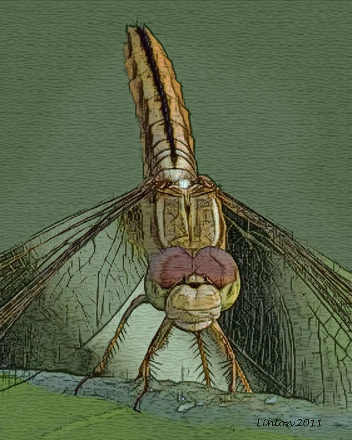 Dragonfly 2 #2 Digital Art by Larry Linton