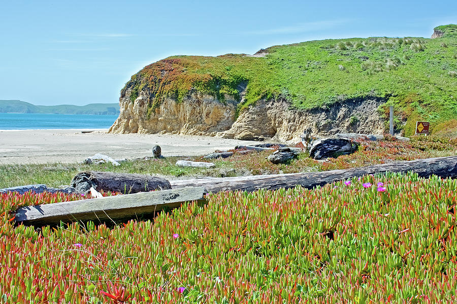 Drakes Beach in Point Reyes National Seashore, California  #2 Photograph by Ruth Hager