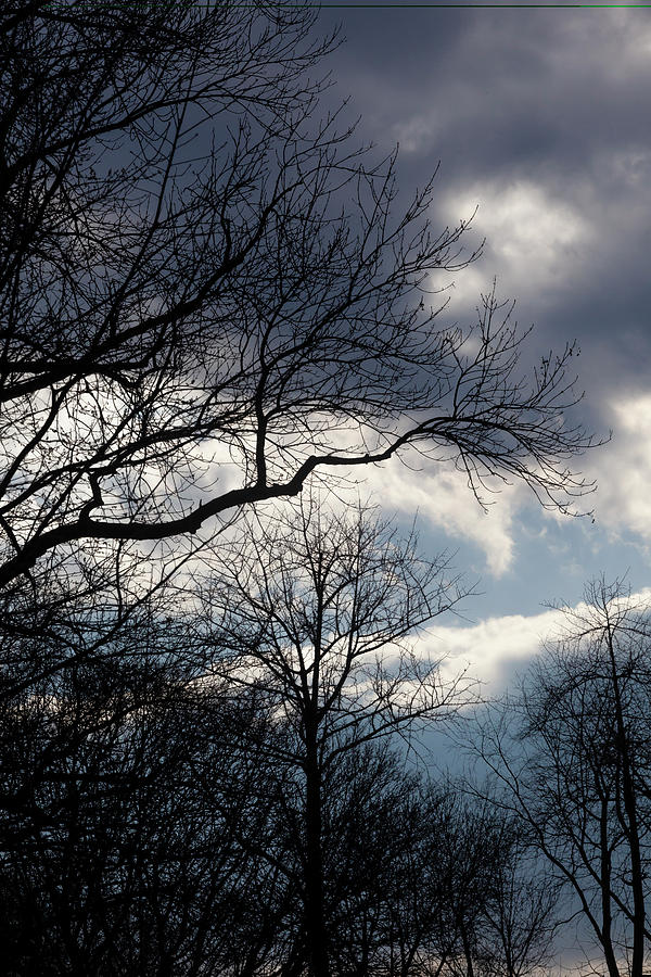 Dramatic Sky Clouds and Trees #2 Photograph by Robert Ullmann