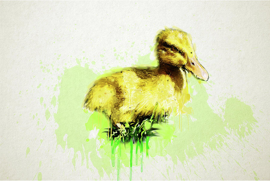 Summer Drawing - Duckling #1 by Tatiana Tyumeneva