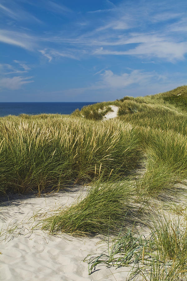 Dunes Photograph by Wedigo Ferchland - Fine Art America