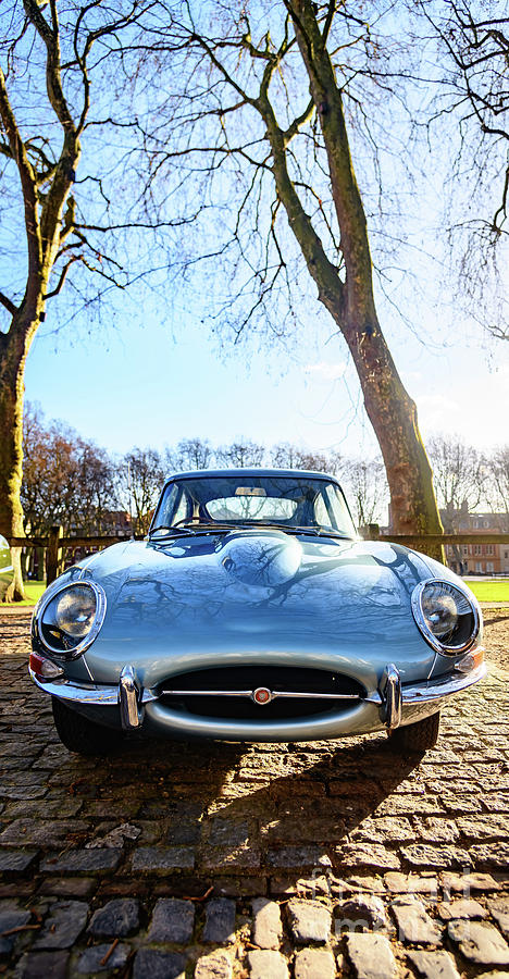 E type Jaguar #2 Photograph by Colin Rayner