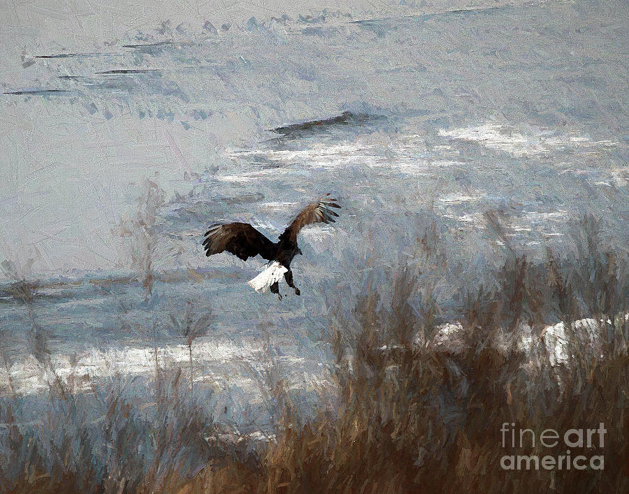 Eagle on the Illinois River #2 Photograph by John Freidenberg