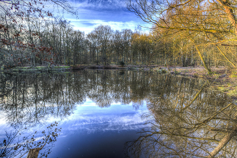 Early morning Forest Pond #2 Photograph by David Pyatt