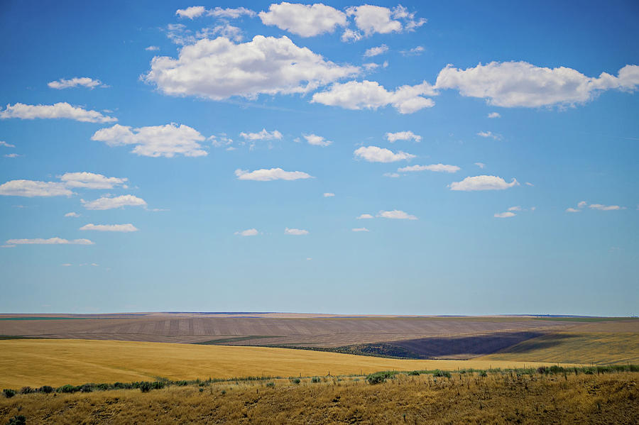 Eastern Washington state Landscapes and pastures on sunny day #2 Photograph by Alex Grichenko