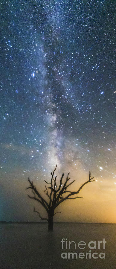 Edisto Island Milky Way #2 Photograph by Robert Loe