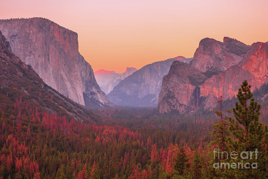 El Capitan golden hour #2 Photograph by Benny Marty