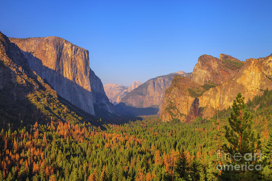 El Capitan Yosemite #2 Photograph by Benny Marty