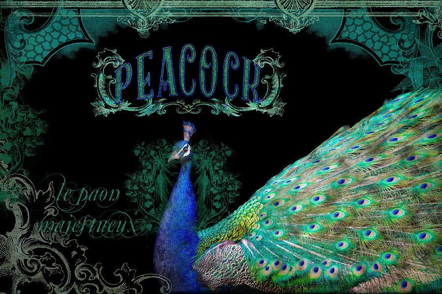 Elegant Peacock w Vintage Scrolls  Mixed Media by Audrey Jeanne Roberts