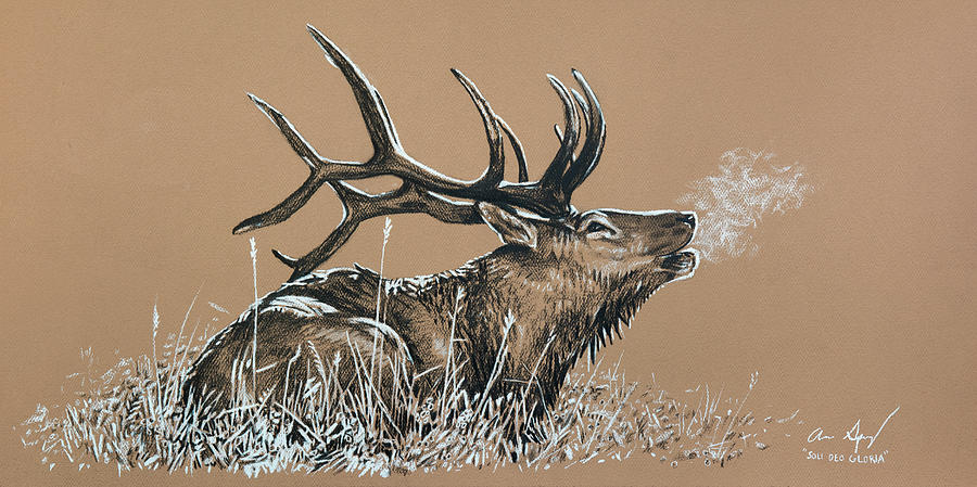 Elk Bugle Drawing by Aaron Spong