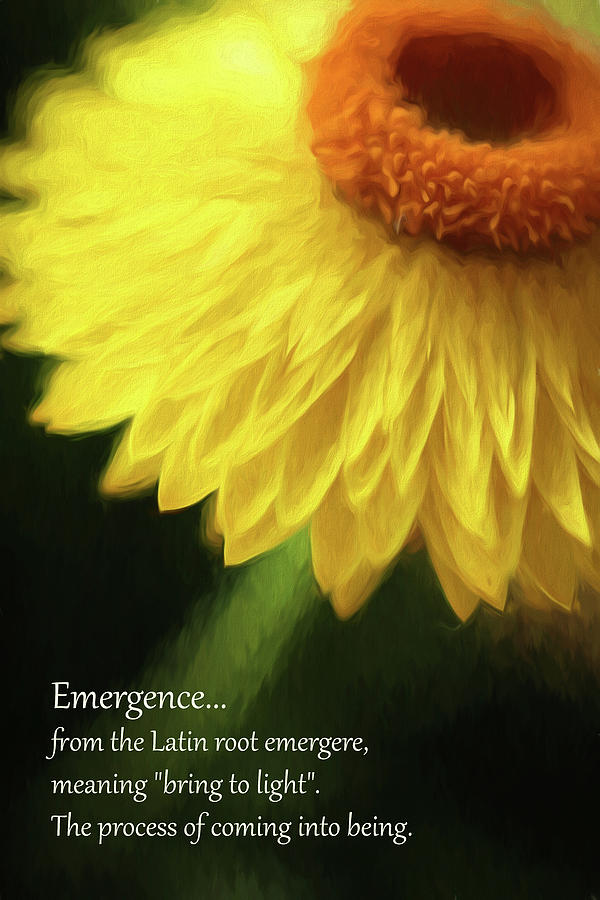 Emergence Digital Art by Lauralee McKay
