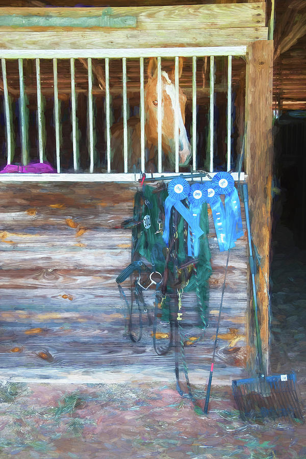 Equestrian Event Rocking Horse Stables Painted  #2 Photograph by Rich Franco
