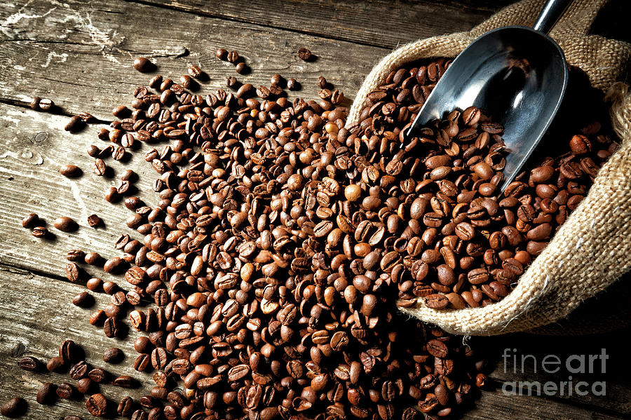 Espresso And Coffee Grain #2 Photograph by Gualtiero Boffi