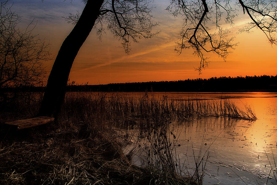 Winter/Evening/Sunset/River Photograph by Aleksandrs Drozdovs