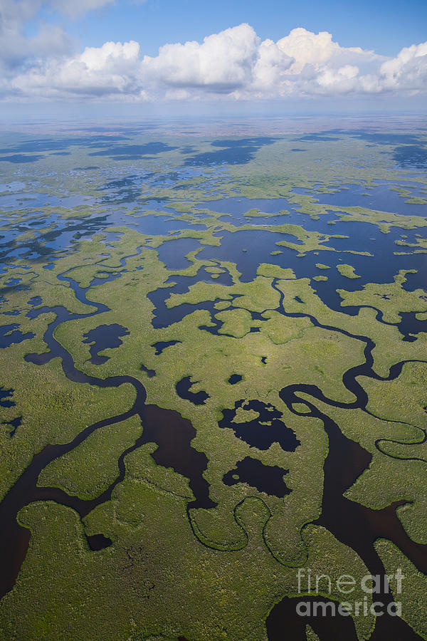 Everglades Aerial #2 Photograph by Juan Carlos Muoz