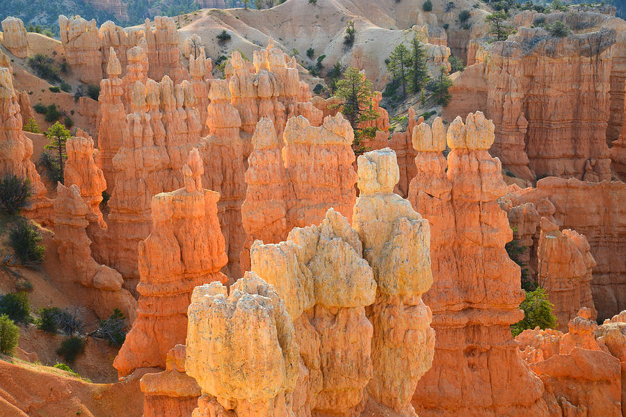 Fairyland Canyon #14 Photograph by Ray Mathis