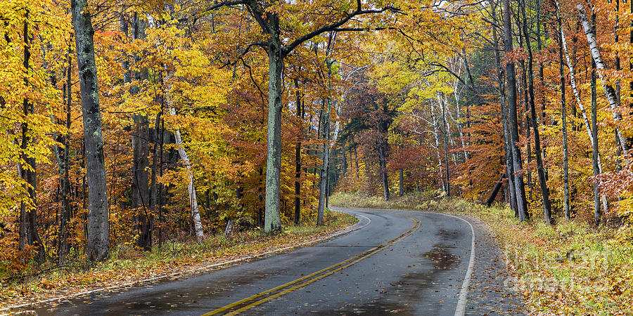 Fall Photograph - Fall along Bohemian Road #2 by Twenty Two North Photography