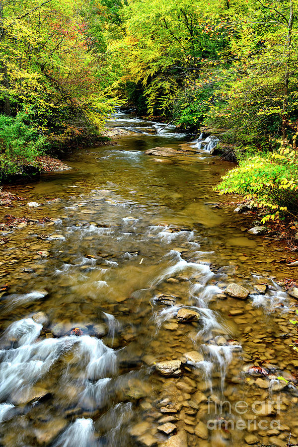 Fall Color Leatherwood Creek #2 Photograph by Thomas R Fletcher