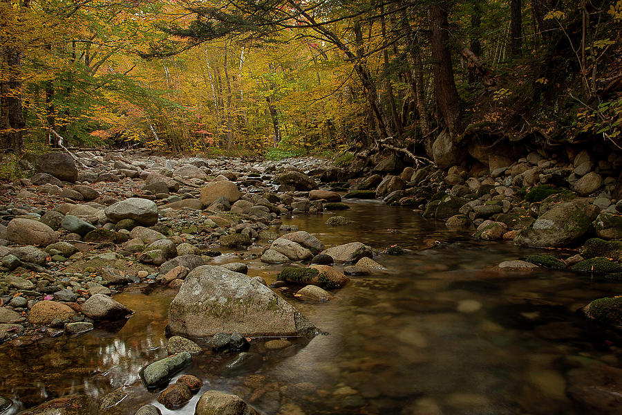 Fall on the Gale River #2 Photograph by Benjamin Dahl