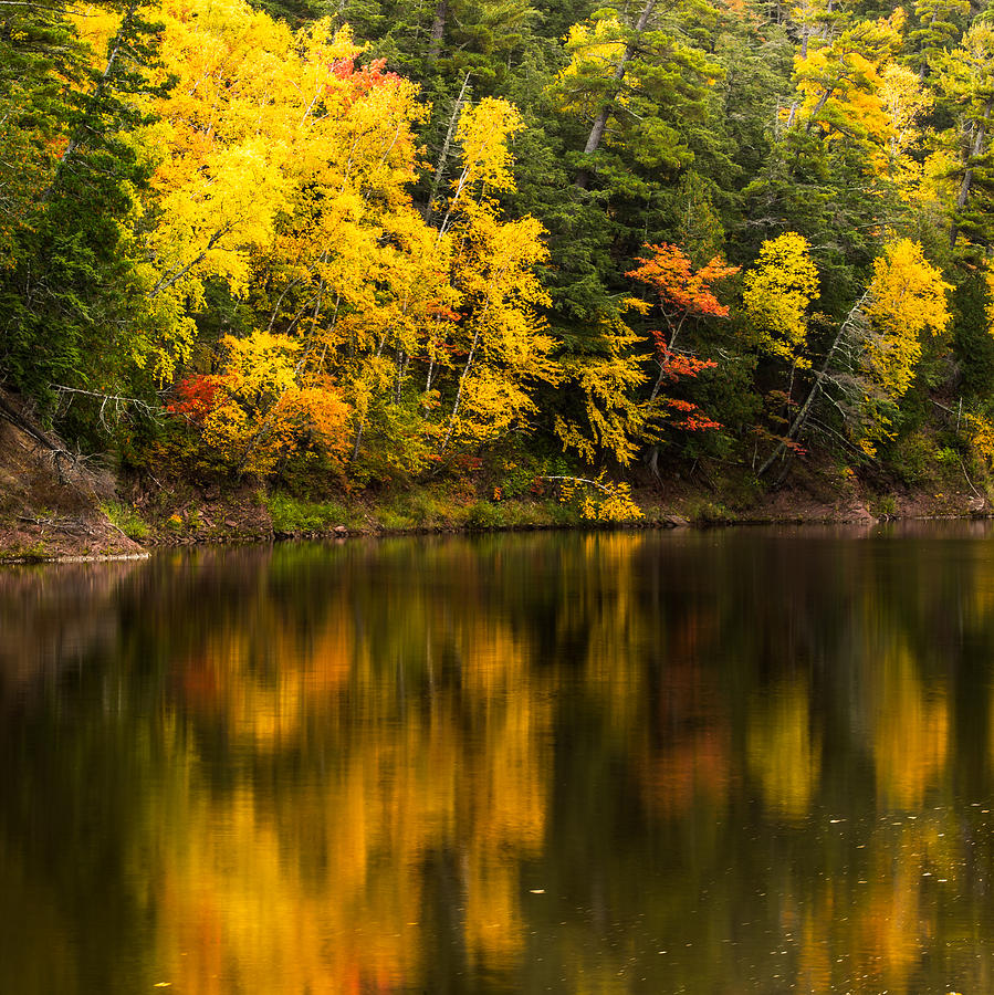 Fall Reflections #2 Photograph by Paul Freidlund