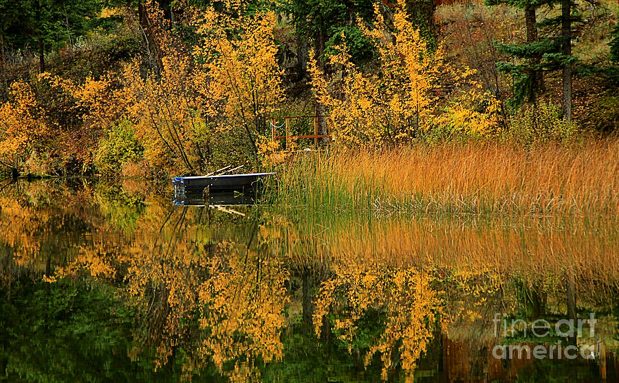Fall Reflections #2 Photograph by Roland Stanke