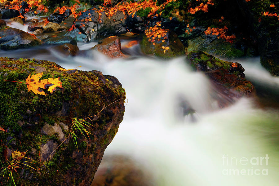Fall Surge #2 Photograph by Michael Dawson