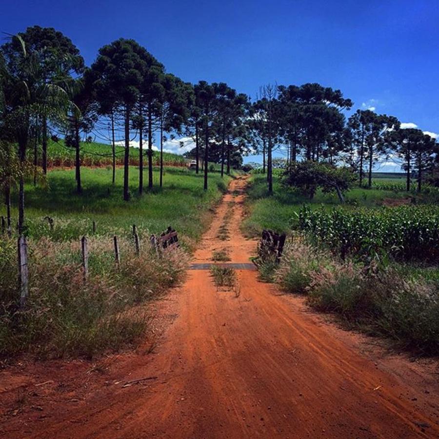 Landscape Photograph - Farms Entrance - Porteira Da Fazenda #2 by Kiko Lazlo Correia